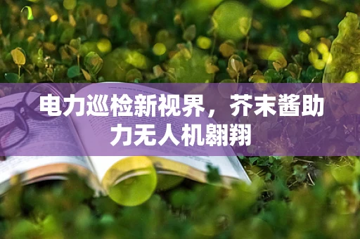 电力巡检新视界，芥末酱助力无人机翱翔