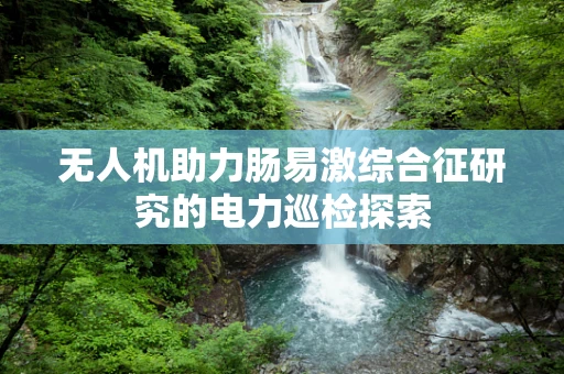 无人机助力肠易激综合征研究的电力巡检探索