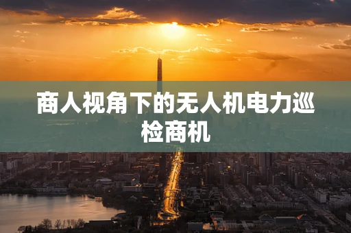 商人视角下的无人机电力巡检商机