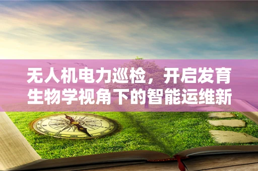 无人机电力巡检，开启发育生物学视角下的智能运维新时代