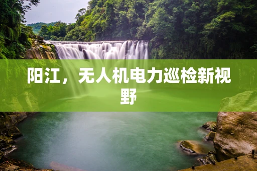 阳江，无人机电力巡检新视野
