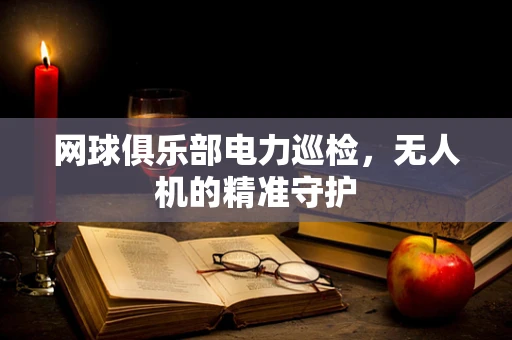 网球俱乐部电力巡检，无人机的精准守护