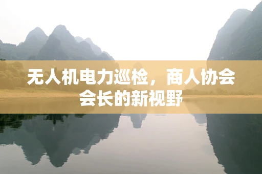 无人机电力巡检，商人协会会长的新视野