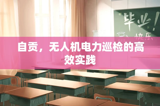 自贡，无人机电力巡检的高效实践