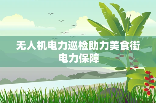 无人机电力巡检助力美食街电力保障