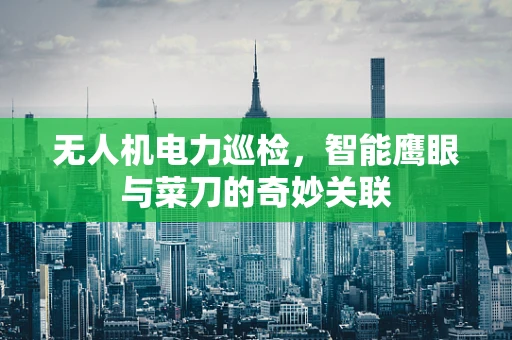 无人机电力巡检，智能鹰眼与菜刀的奇妙关联