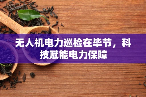 无人机电力巡检在毕节，科技赋能电力保障