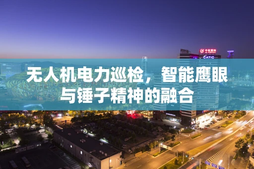 无人机电力巡检，智能鹰眼与锤子精神的融合
