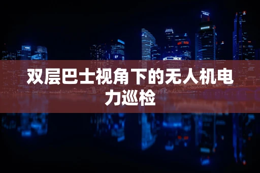 双层巴士视角下的无人机电力巡检