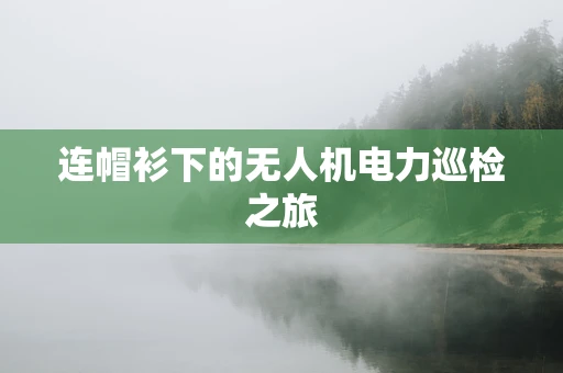 连帽衫下的无人机电力巡检之旅