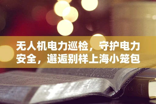 无人机电力巡检，守护电力安全，邂逅别样上海小笼包