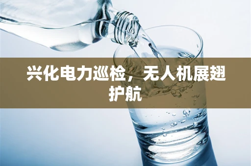 兴化电力巡检，无人机展翅护航