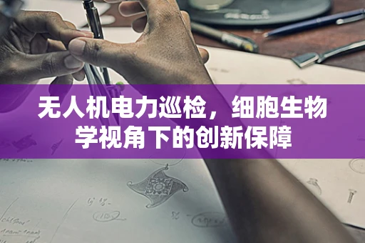 无人机电力巡检，细胞生物学视角下的创新保障