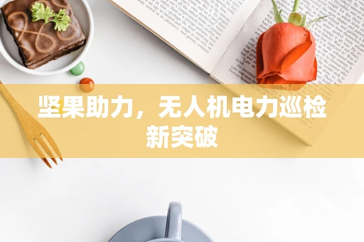 坚果助力，无人机电力巡检新突破