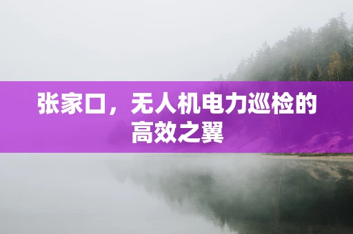 张家口，无人机电力巡检的高效之翼