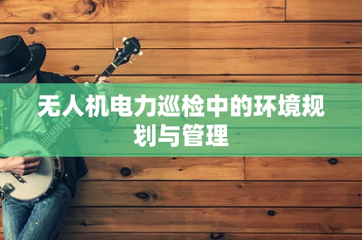 无人机电力巡检中的环境规划与管理