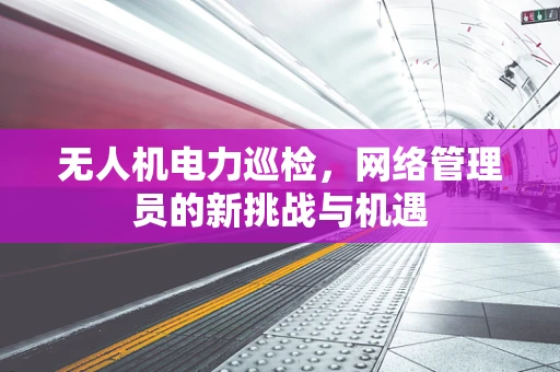 无人机电力巡检，网络管理员的新挑战与机遇