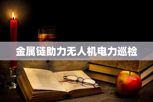 金属链助力无人机电力巡检
