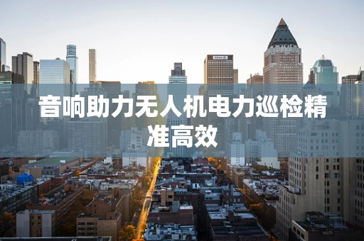 音响助力无人机电力巡检精准高效