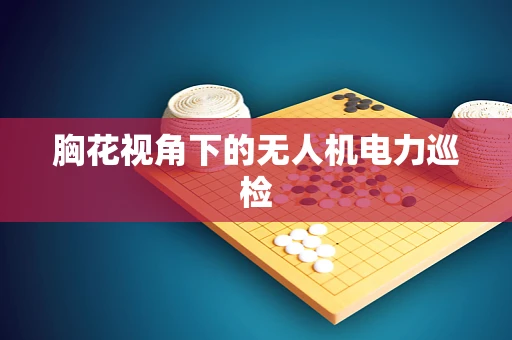 胸花视角下的无人机电力巡检