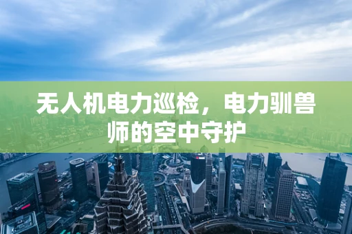 无人机电力巡检，电力驯兽师的空中守护