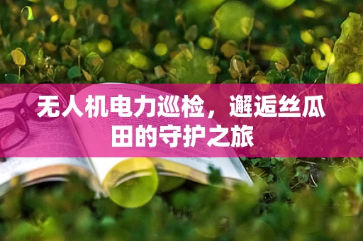 无人机电力巡检，邂逅丝瓜田的守护之旅