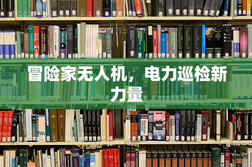 冒险家无人机，电力巡检新力量