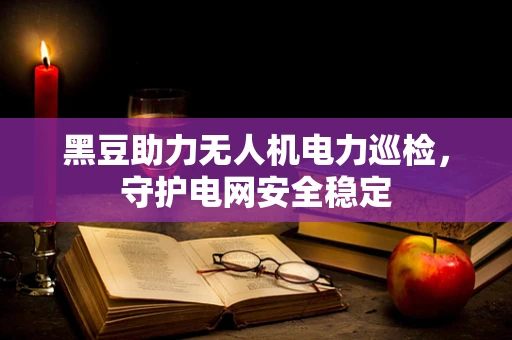 黑豆助力无人机电力巡检，守护电网安全稳定