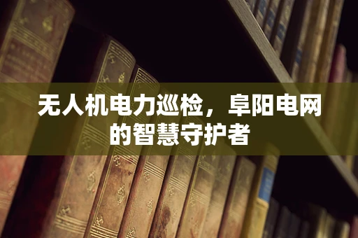 无人机电力巡检，阜阳电网的智慧守护者