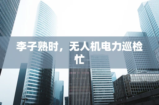李子熟时，无人机电力巡检忙