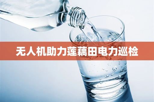 无人机助力莲藕田电力巡检
