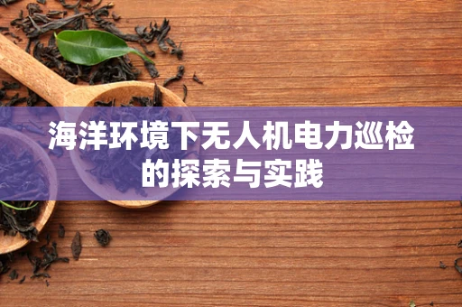 海洋环境下无人机电力巡检的探索与实践