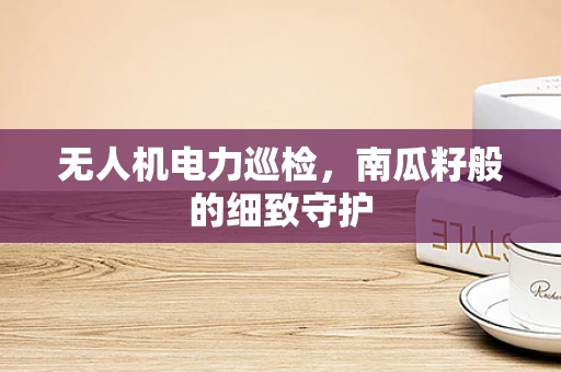 无人机电力巡检，南瓜籽般的细致守护
