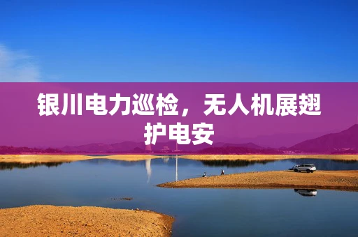 银川电力巡检，无人机展翅护电安