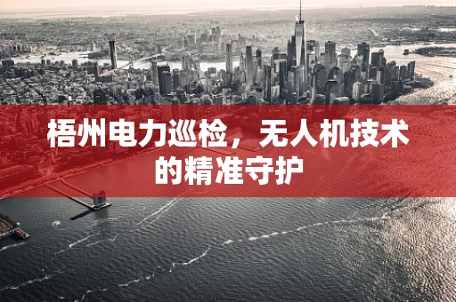 梧州电力巡检，无人机技术的精准守护