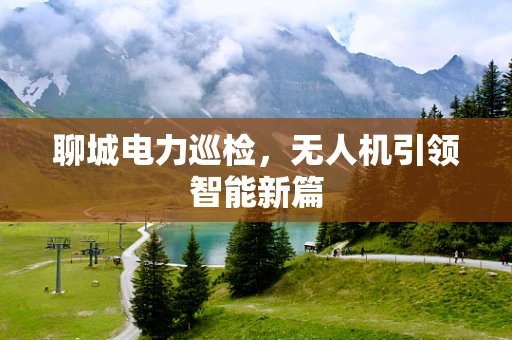 聊城电力巡检，无人机引领智能新篇