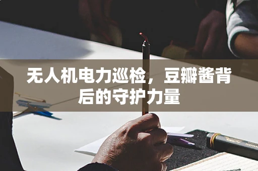 无人机电力巡检，豆瓣酱背后的守护力量