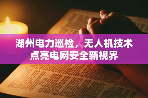 湖州电力巡检，无人机技术点亮电网安全新视界