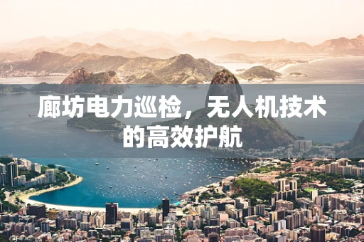 廊坊电力巡检，无人机技术的高效护航