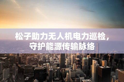 松子助力无人机电力巡检，守护能源传输脉络