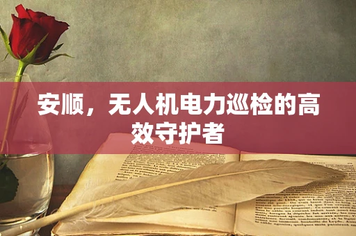 安顺，无人机电力巡检的高效守护者