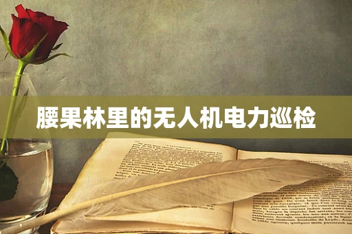 腰果林里的无人机电力巡检