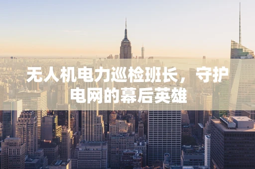 无人机电力巡检班长，守护电网的幕后英雄