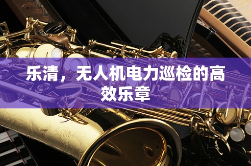 乐清，无人机电力巡检的高效乐章
