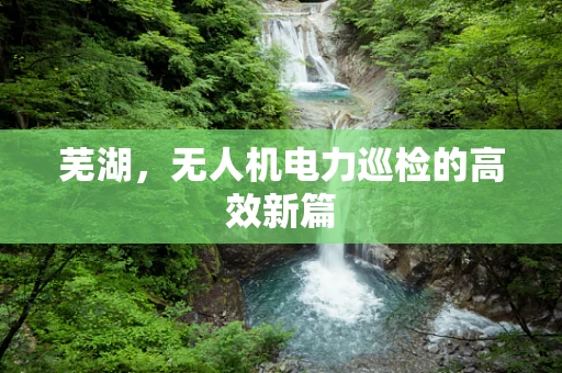 芜湖，无人机电力巡检的高效新篇