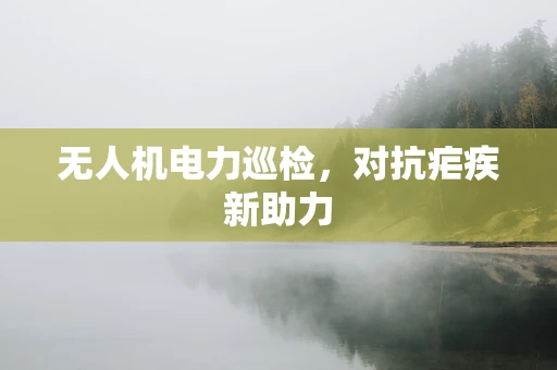 无人机电力巡检，对抗疟疾新助力