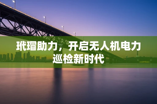 玳瑁助力，开启无人机电力巡检新时代