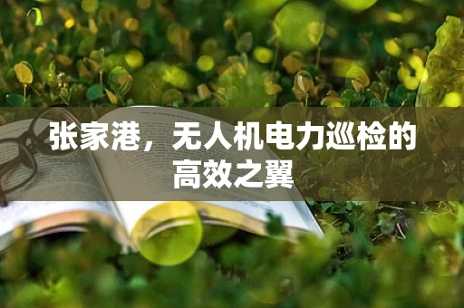 张家港，无人机电力巡检的高效之翼