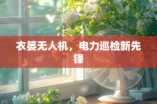 衣篓无人机，电力巡检新先锋