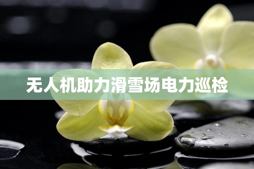 无人机助力滑雪场电力巡检
